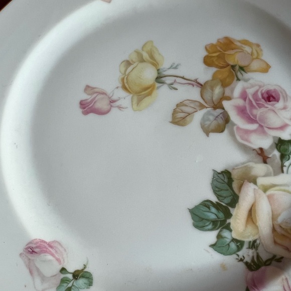 Gorgeous Vintage German Hand Painted Roses 10” Plate - Picture 2 of 7